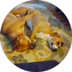 Profile photo of Kayla Ewt