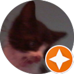 Profile photo of Marla Walter