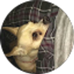 Profile photo of Prettymuchpaige