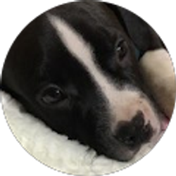 Profile photo of Juan Vega