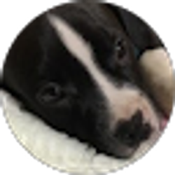 Profile photo of Juan Vega