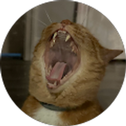 Profile photo of Willy Billy