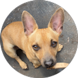 Profile photo of Regina