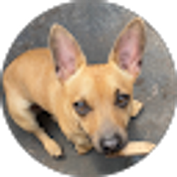 Profile photo of Regina