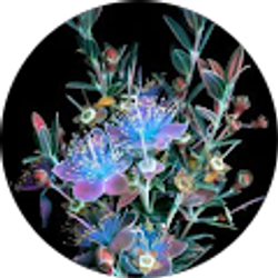 Profile photo of Maria Shanks