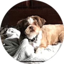 Profile photo of Leslie Thierry