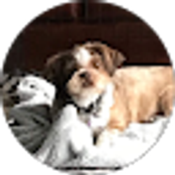 Profile photo of Leslie Thierry