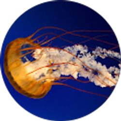 Profile photo of Dana D