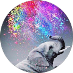 Profile photo of Soteria F