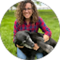 Profile photo of Sherri Kiefner