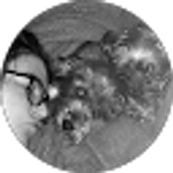 Profile photo of josh smith