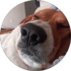 Profile photo of Dina Gaebel