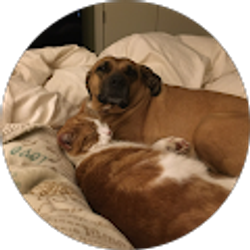 Profile photo of Jackie L.