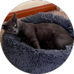 Profile photo of Terry Jackson