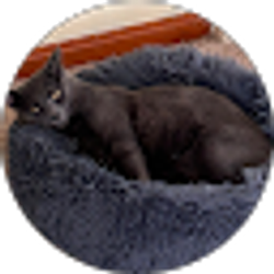 Profile photo of Terry Jackson