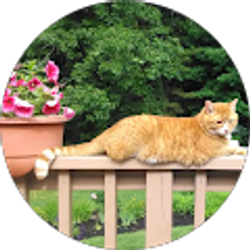 Profile photo of Doris B