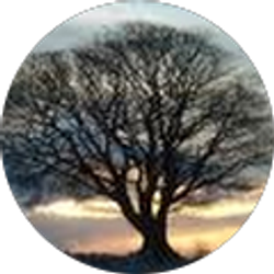 Profile photo of Emily Legg