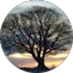 Profile photo of Emily Legg