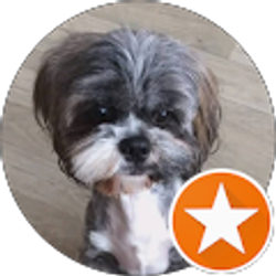 Profile photo of Boris Barski