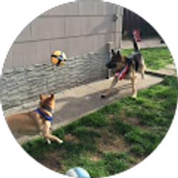 Profile photo of Rocco C