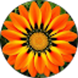 Profile photo of Martha Lara