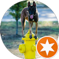 Profile photo of Craig Hanna