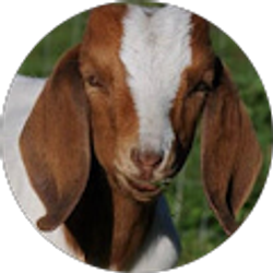 Profile photo of Todd Beall