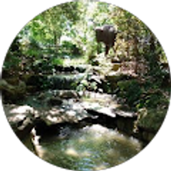 Profile photo of Junior 0714