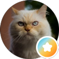 Profile photo of G S