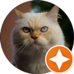 Profile photo of G S