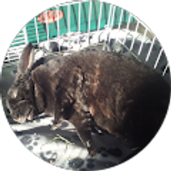 Profile photo of Emily Smith