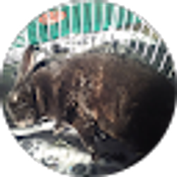 Profile photo of Emily Smith