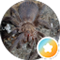 Profile photo of Nicole Worker