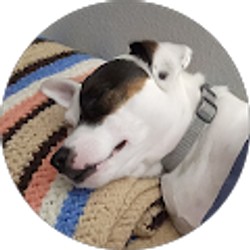 Profile photo of Carol Piekarz