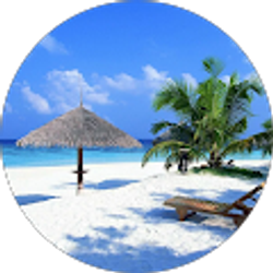 Profile photo of Mark Richards