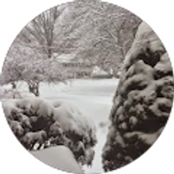 Profile photo of Damayanthi Solangaarachchi