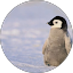 Profile photo of Caroline Cady