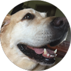 Profile photo of Michelle Delossantos