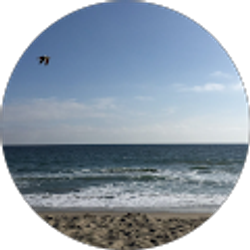 Profile photo of Brandi M