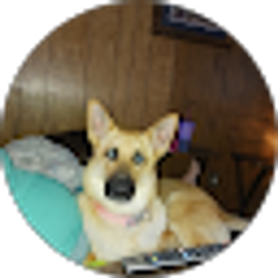 Profile photo of Gary Grumbles