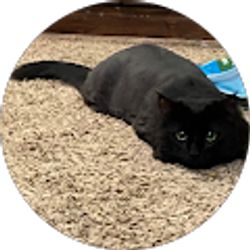 Profile photo of Adalie Frade