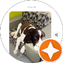 Profile photo of Deirdre Silverstein