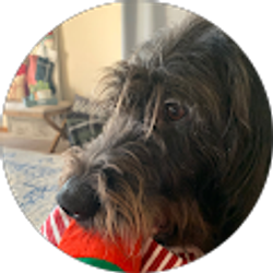 Profile photo of Julie Westhefer