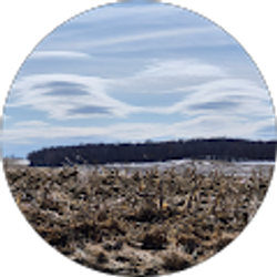 Profile photo of Sheila Rathke