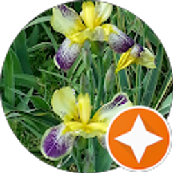 Profile photo of Julie