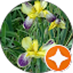 Profile photo of Julie