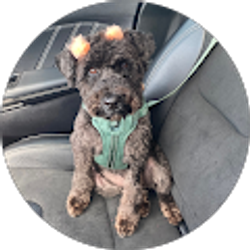 Profile photo of Jenita Shorter