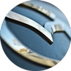 Profile photo of wyatt medley