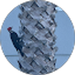 Profile photo of Garrett Barnette