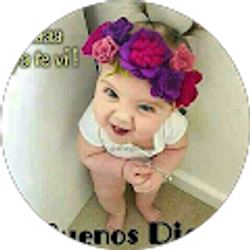 Profile photo of Maria Guadarrama